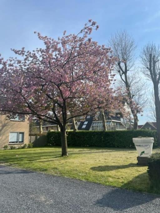 Holidayhome Zonnestraal 9P Amsterdam And The Beach Heerhugowaard Esterno foto